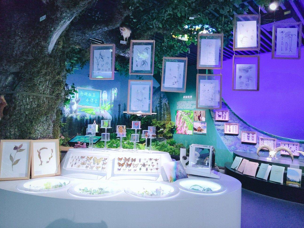 西安高新区蹲租房搭子