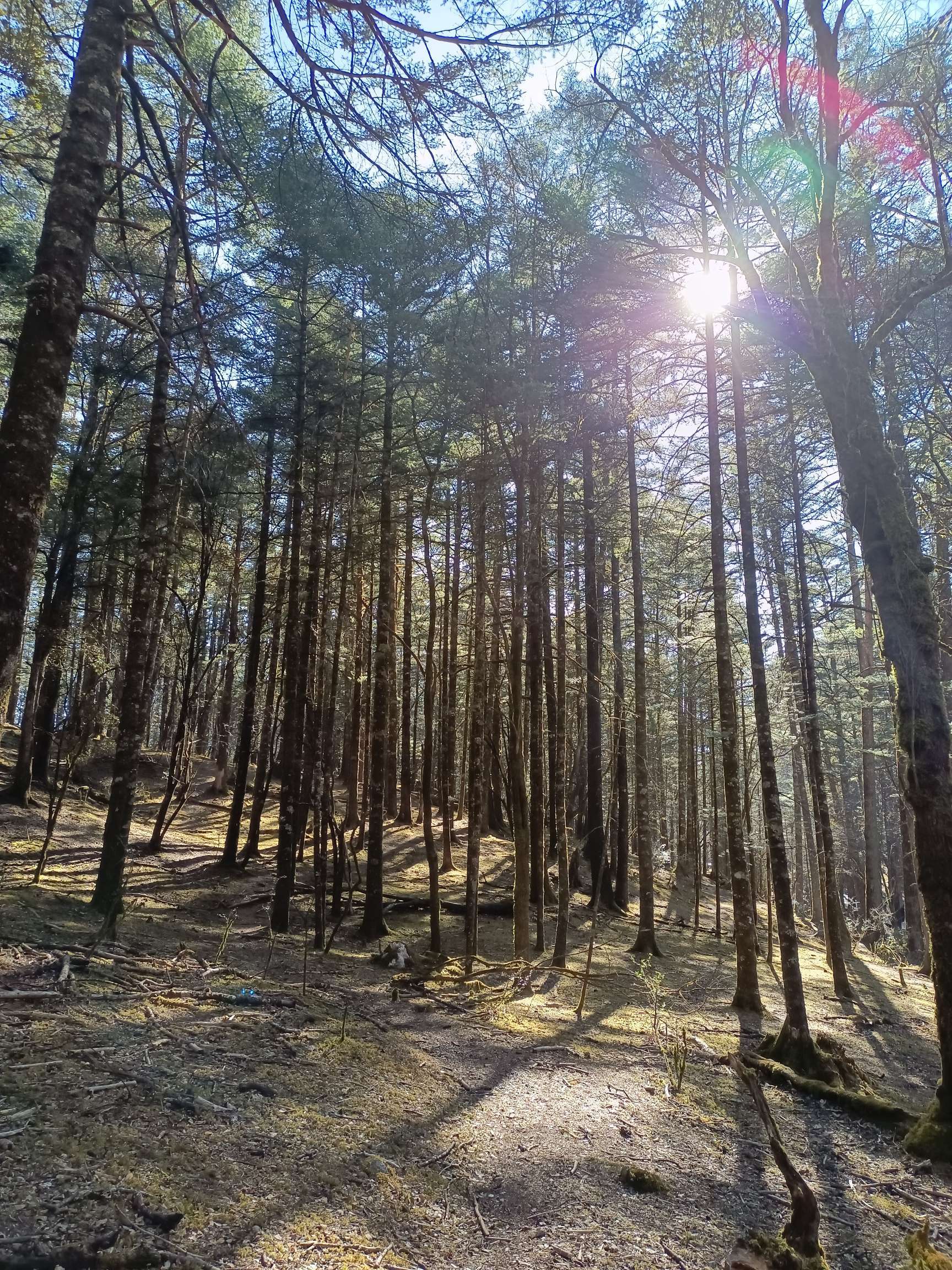  雪山倒影 让人盼衰老退休的都是上班逼_1