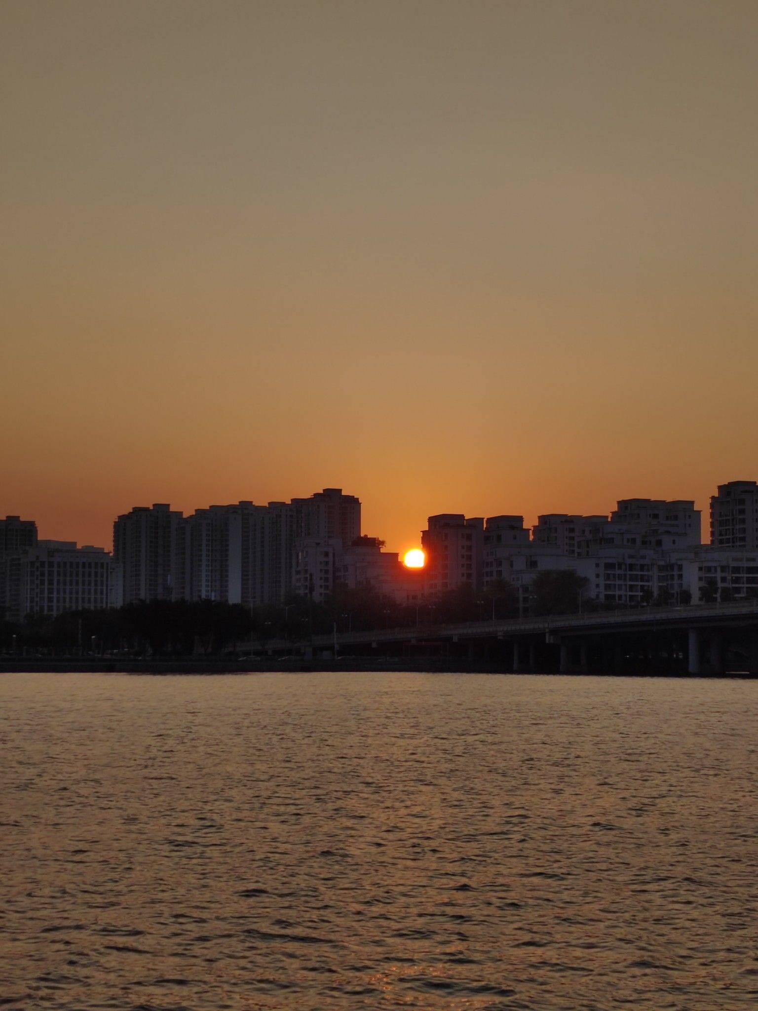 珠海的春天_4