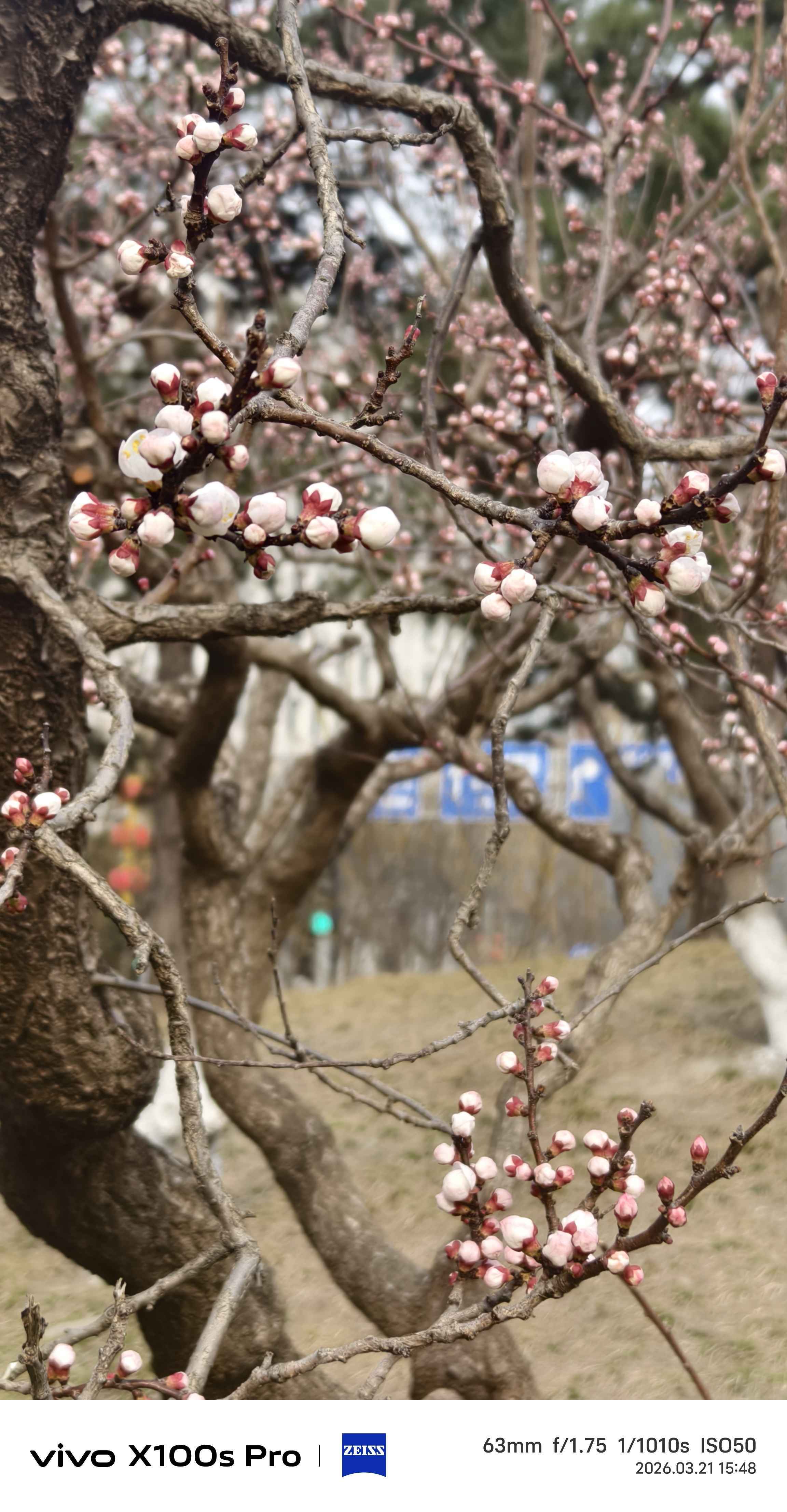 一男一女求租两个次卧，需求
1.三室两卫