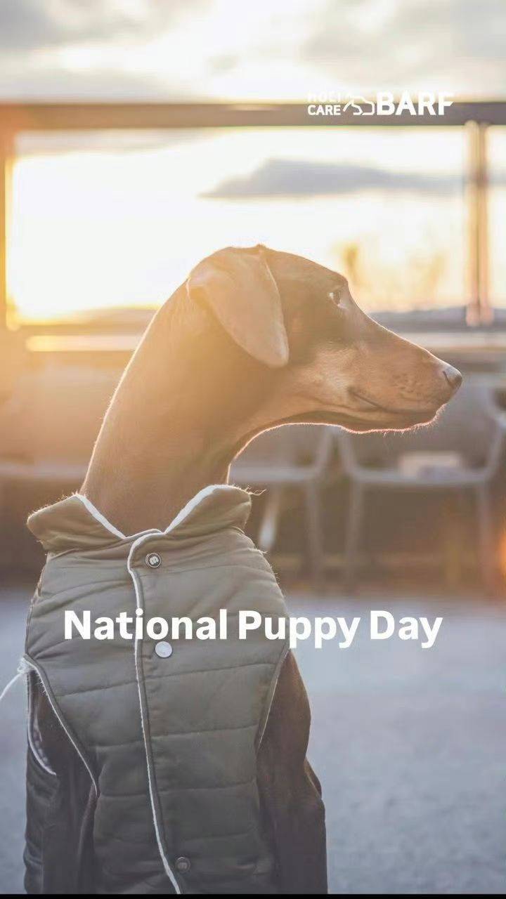 1·2米的大宝贝~