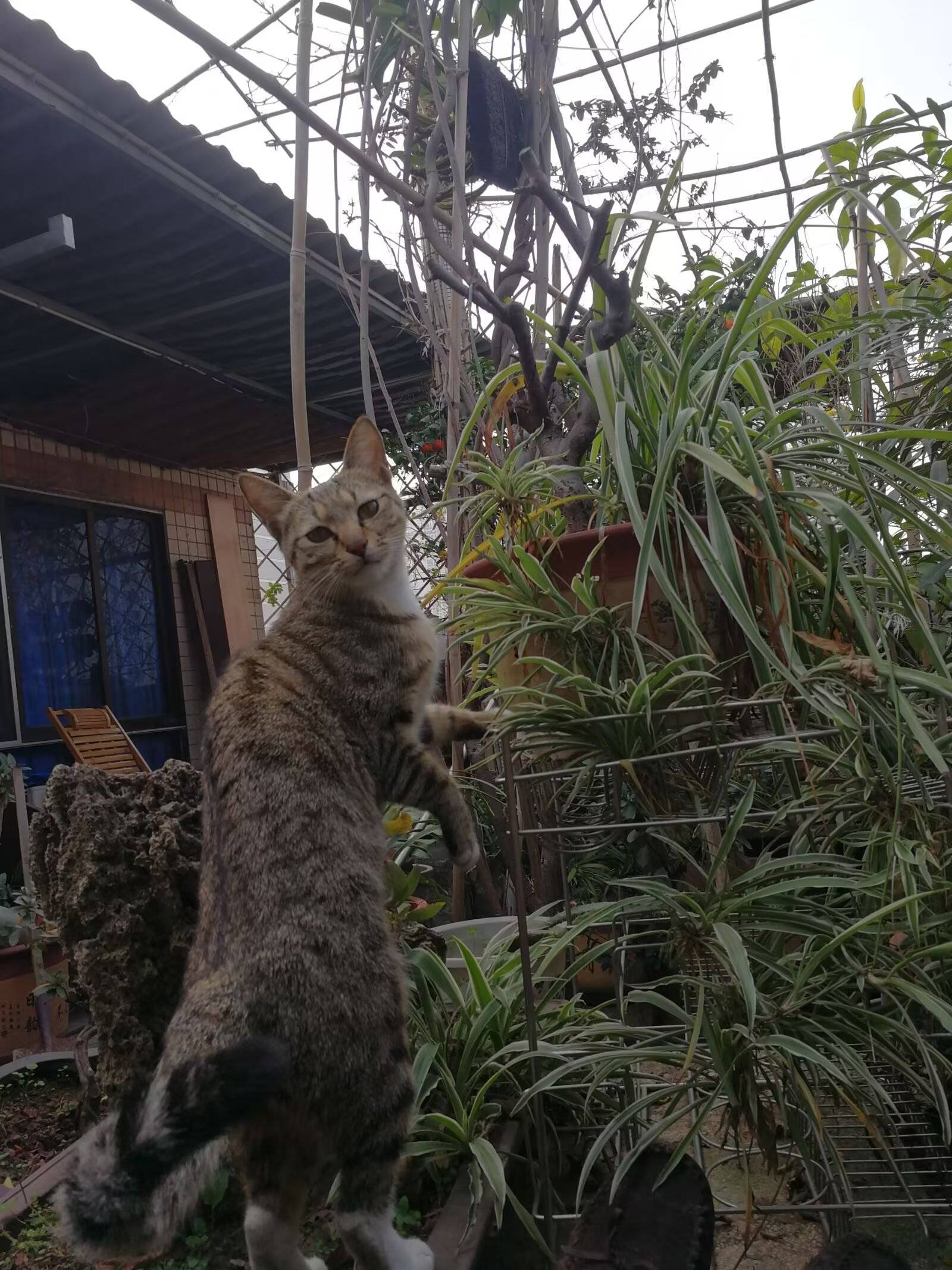 欢欢，妈妈一直等你_4