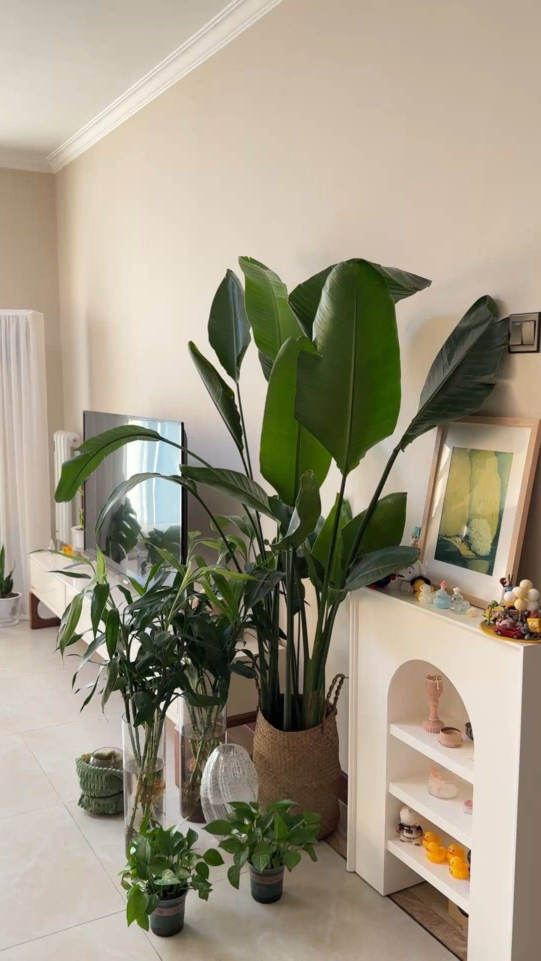 北京国贸蹲室友