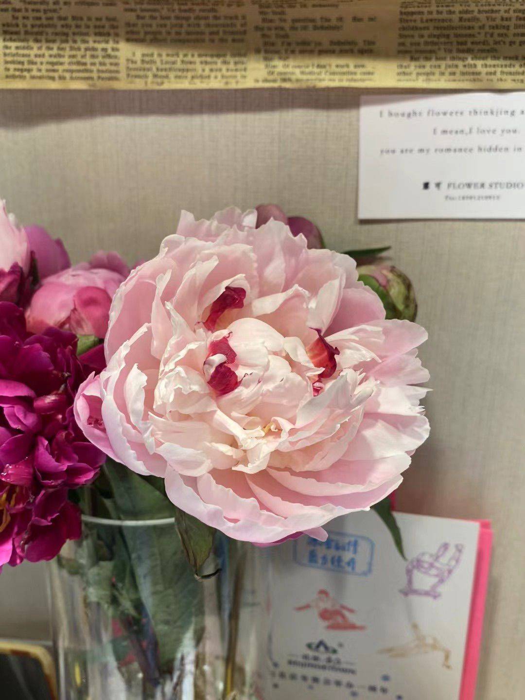 我以前养的花🌸真好看_1