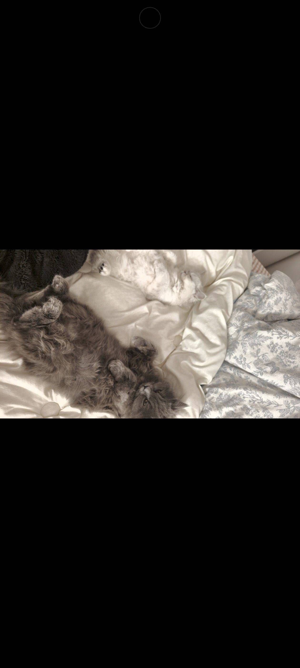 一男一女求租两个次卧，需求
1.三室两卫_1