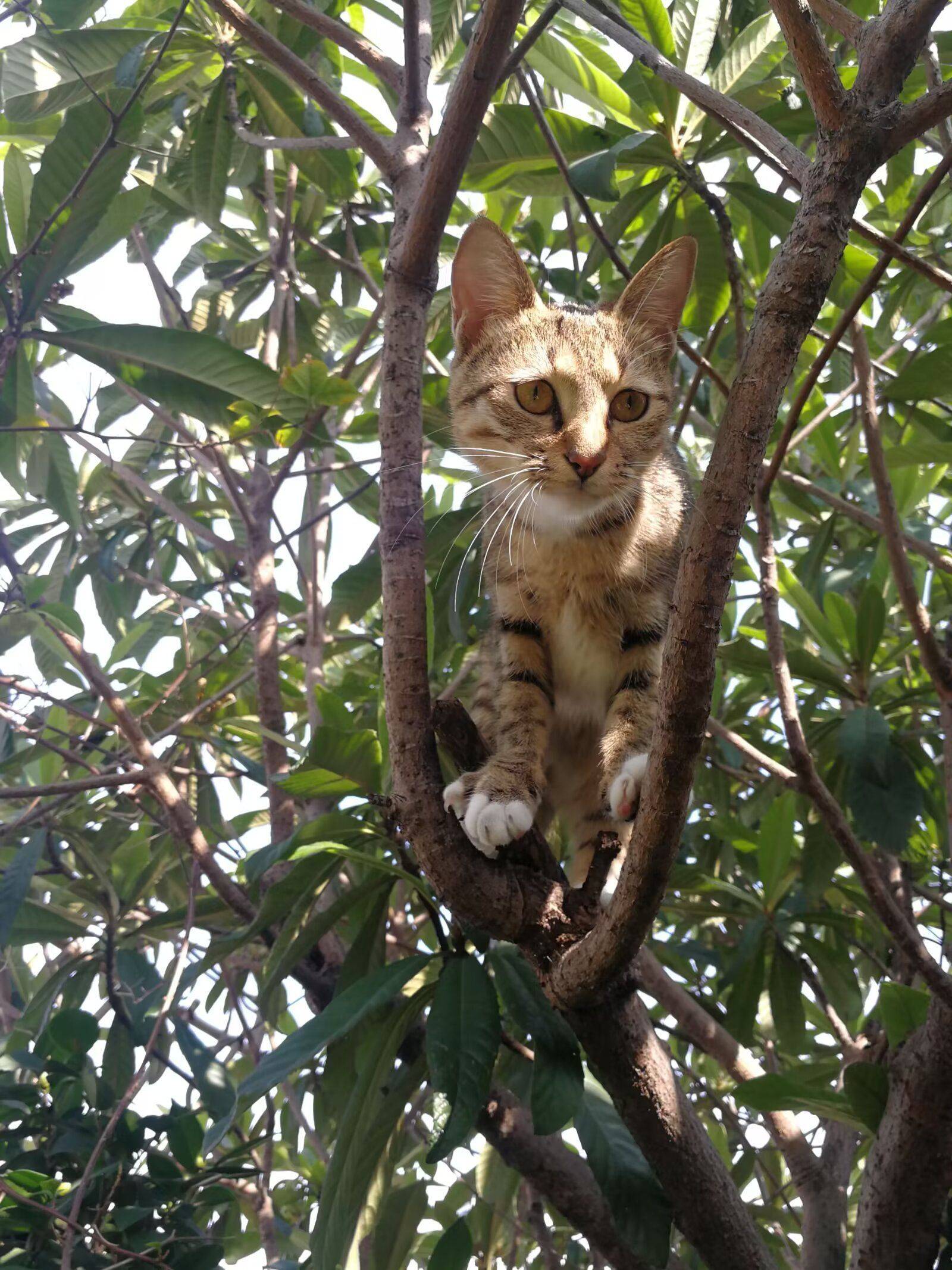 欢欢，妈妈一直等你_1