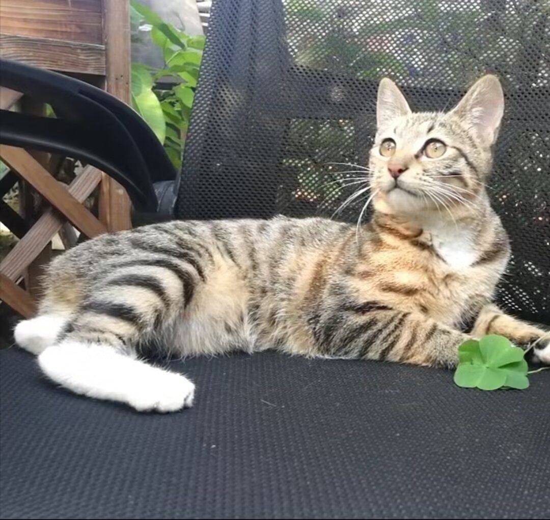 欢欢，妈妈一直等你