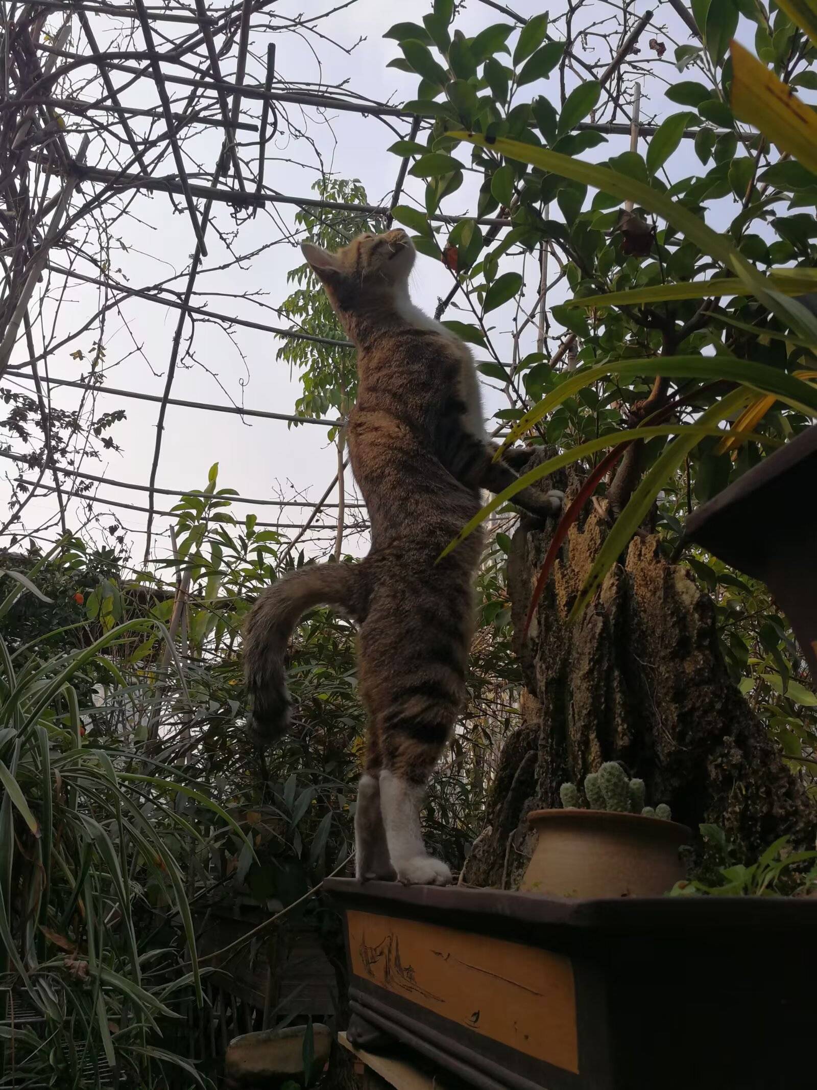 欢欢，妈妈一直等你_3