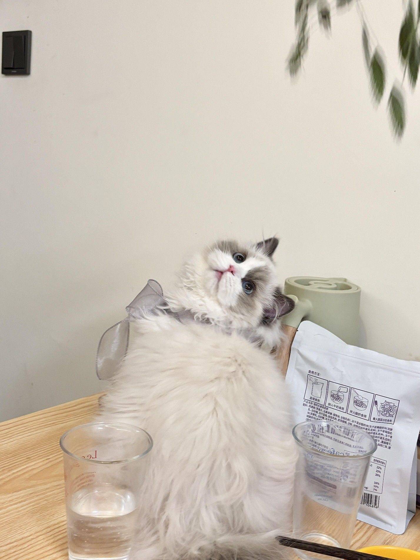 家有萌宠#欢迎来我家_3