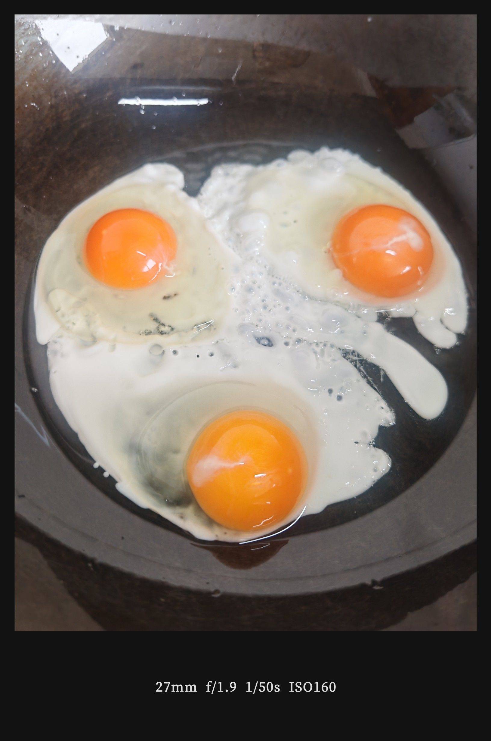 漫步大自然  树洞  园林一角_2