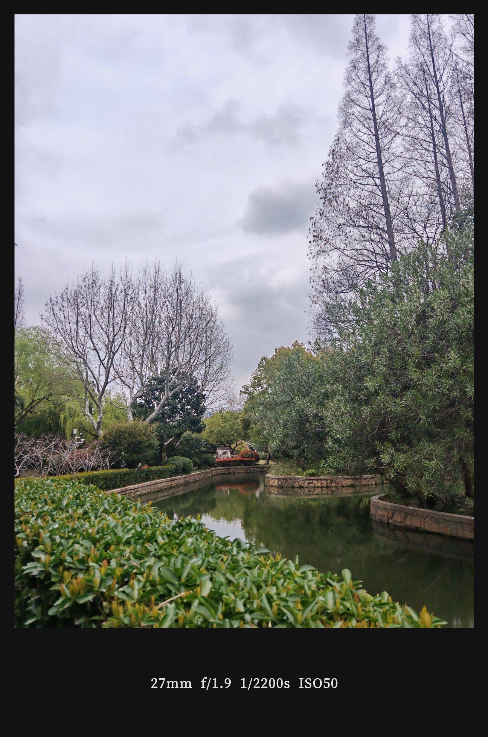 漫步大自然  树洞  园林一角_1