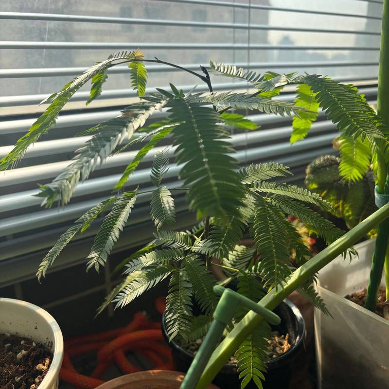 上海长宁共居空间招募新室友啦_4