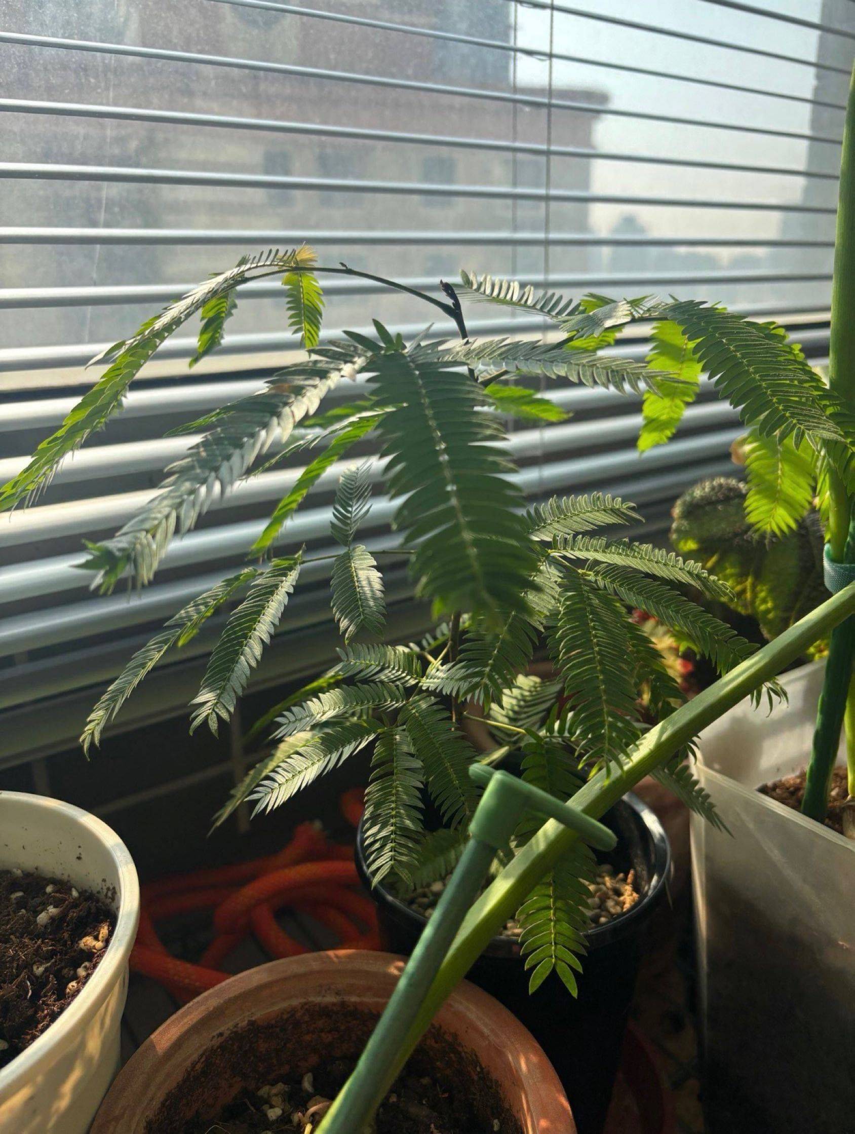 长宁区共居社区招募新室友啦_4