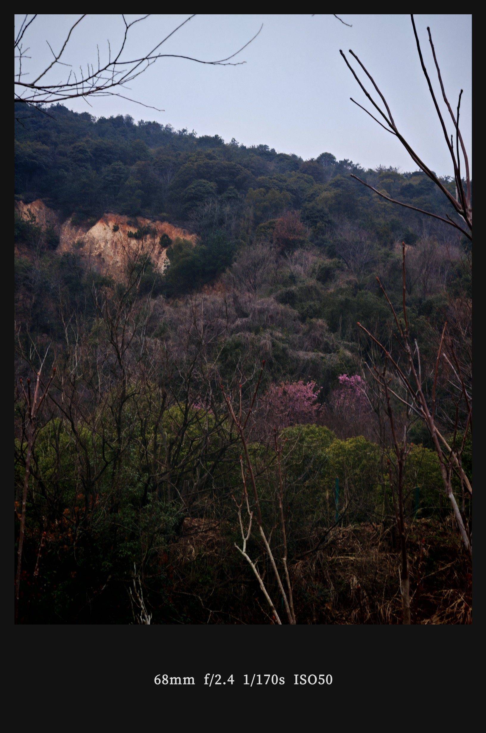  湖边柳影  水岸轻舟  烟雨朦胧_4