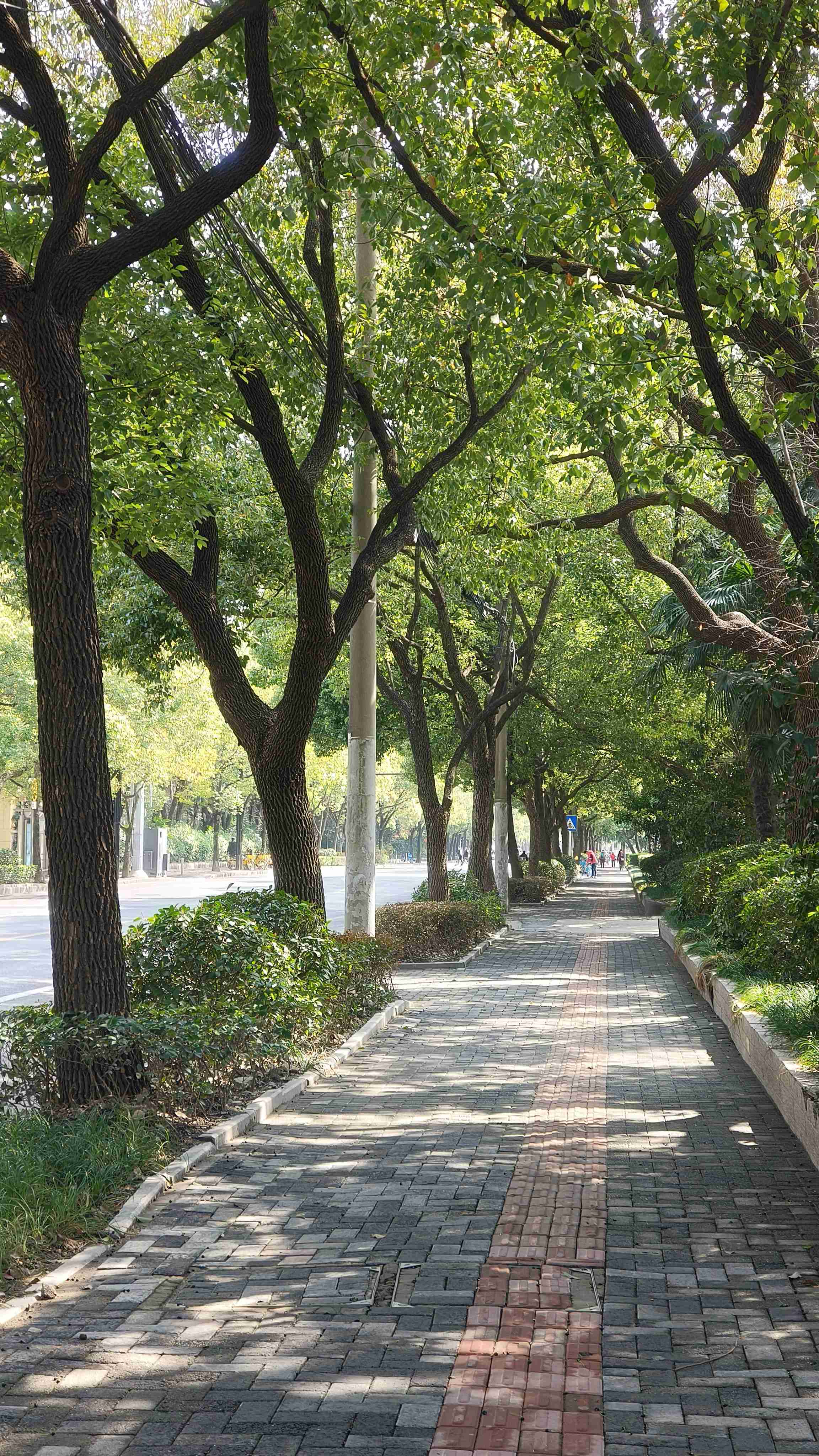 上海动物园附近找室友