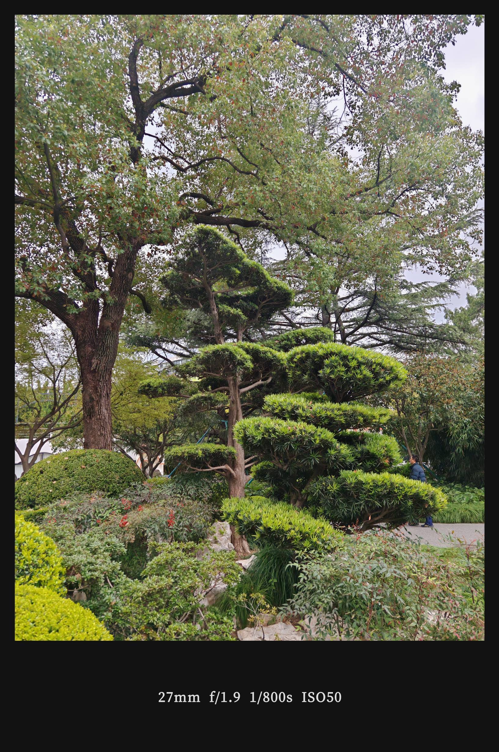 漫步大自然  树洞  园林一角