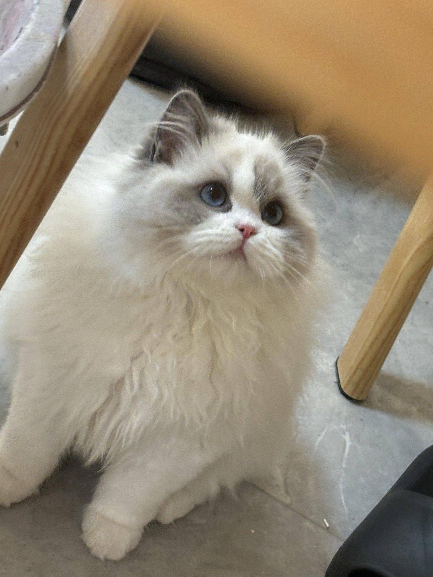 家有萌宠#欢迎来我家_2