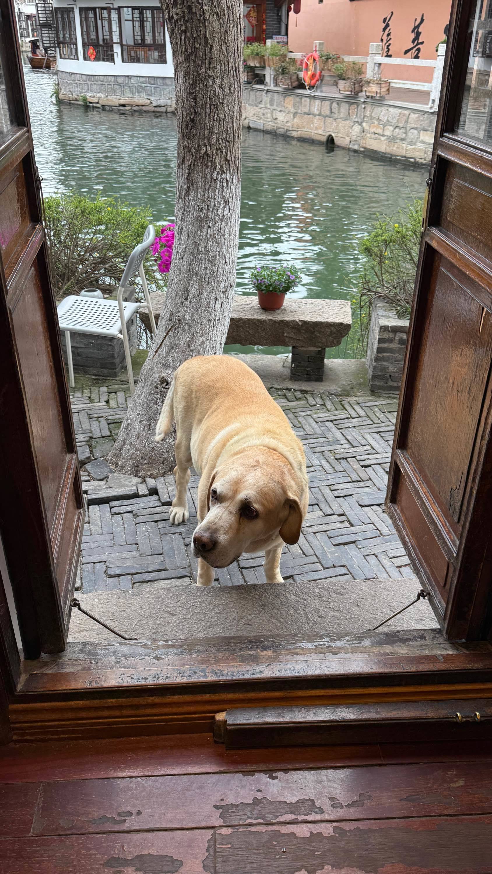 闲逛古镇～朱家角 江南午后 _3