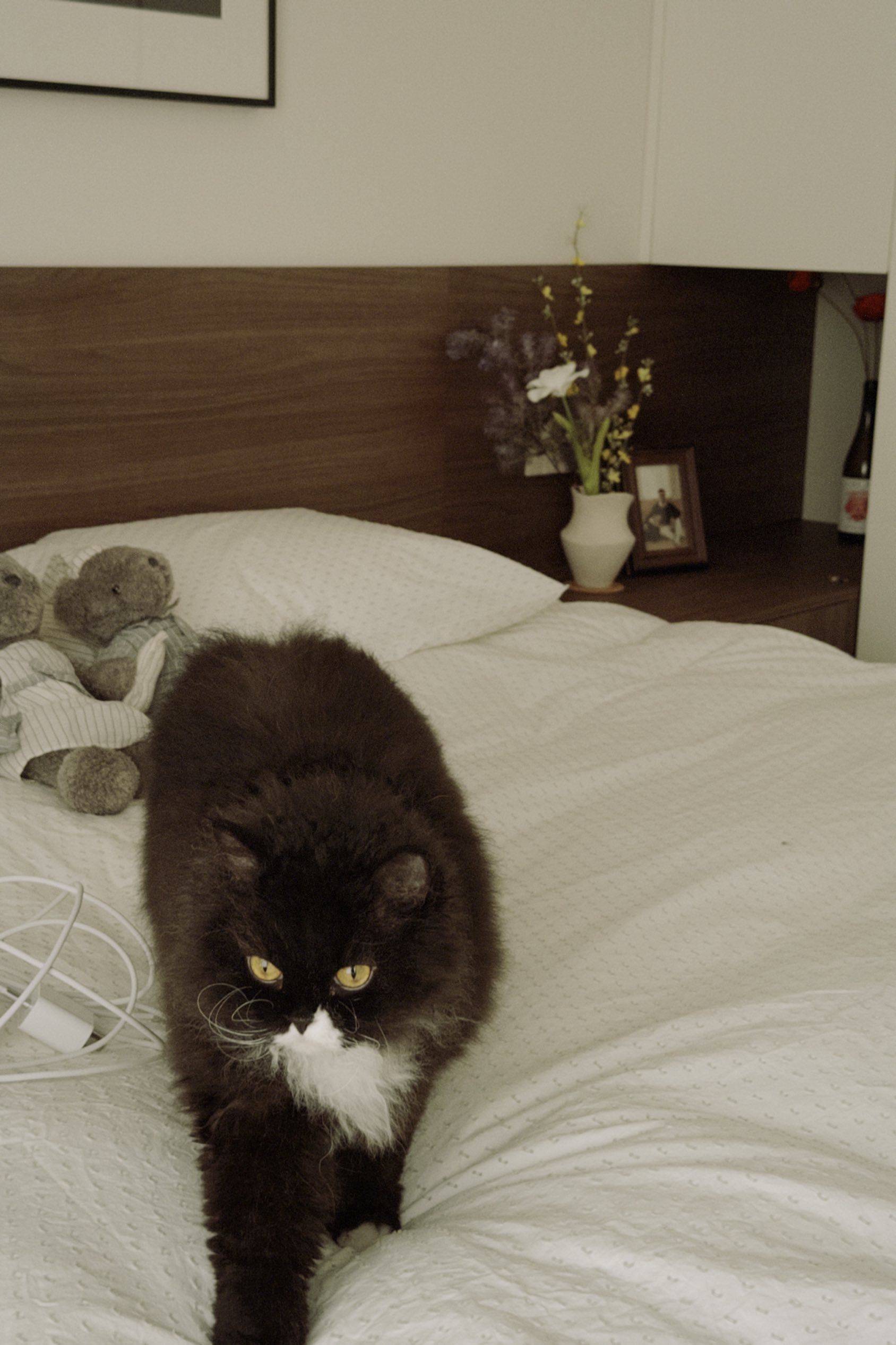 有生活感的家🪑_4