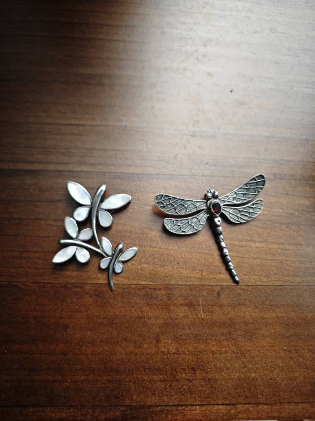 同印尼艺术家联合出品的蜻蜓胸针_4