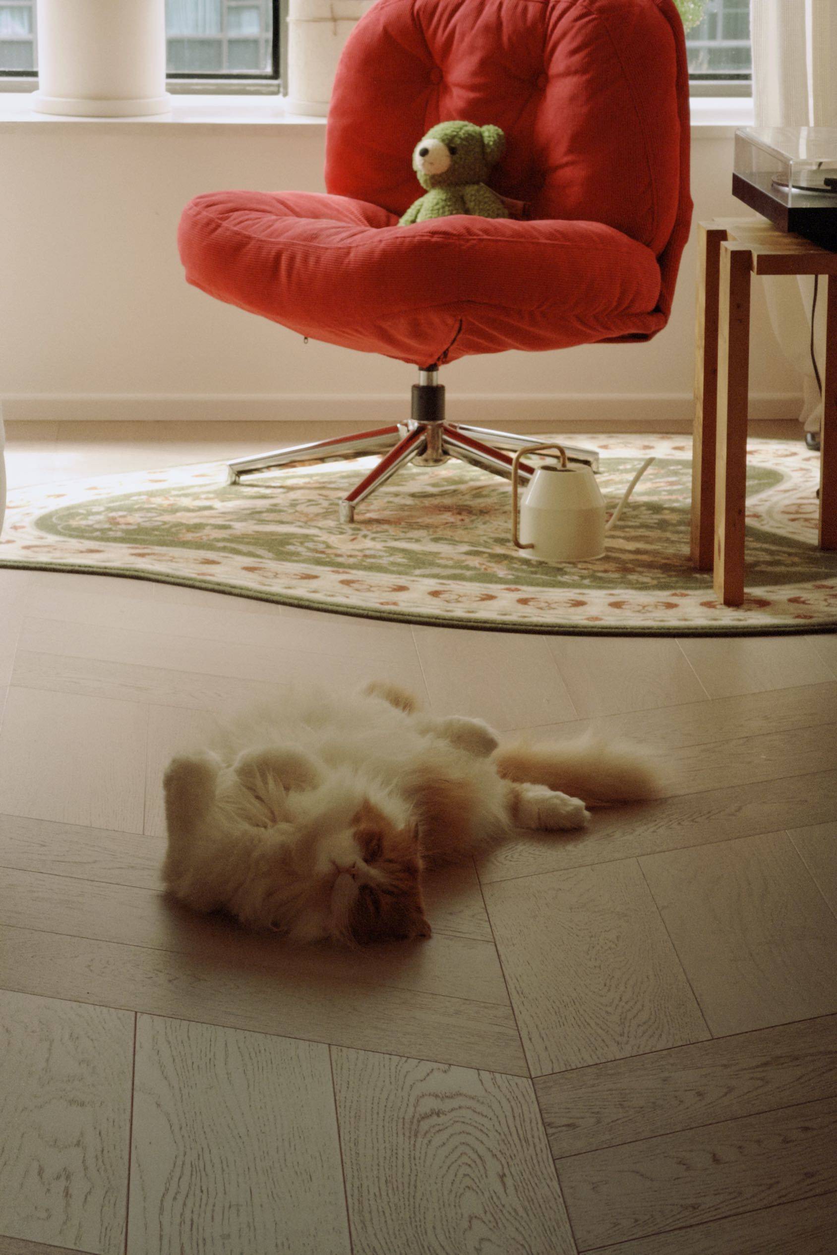 有生活感的家🪑