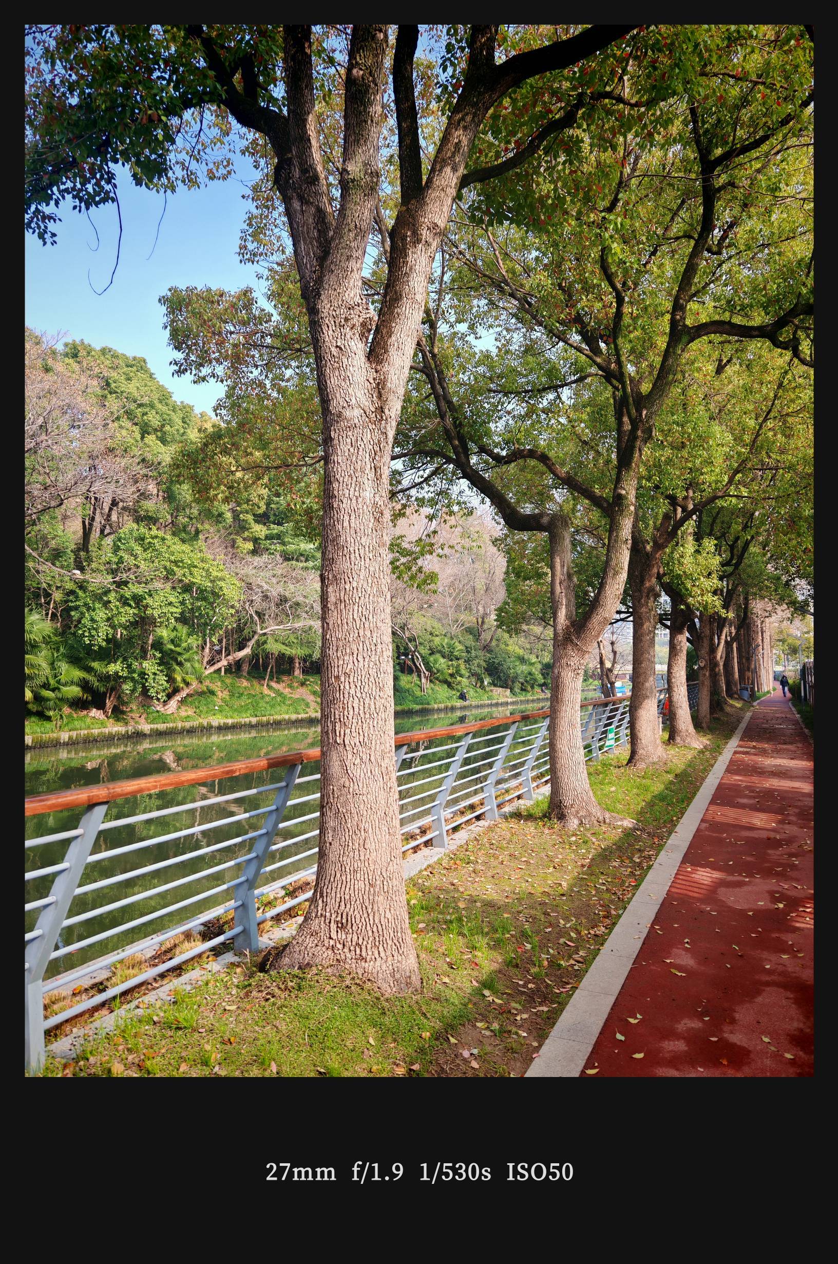  玉兰花开  春日限定  粉嫩绽放_3