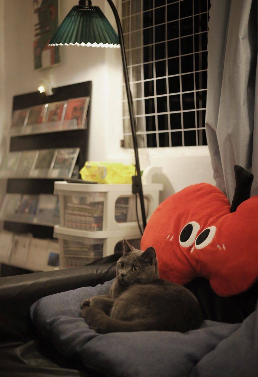 广州背包客 | 欢迎来住我家 🏠