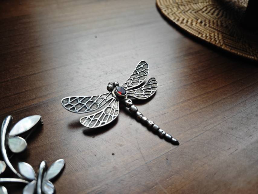 同印尼艺术家联合出品的蜻蜓胸针_2
