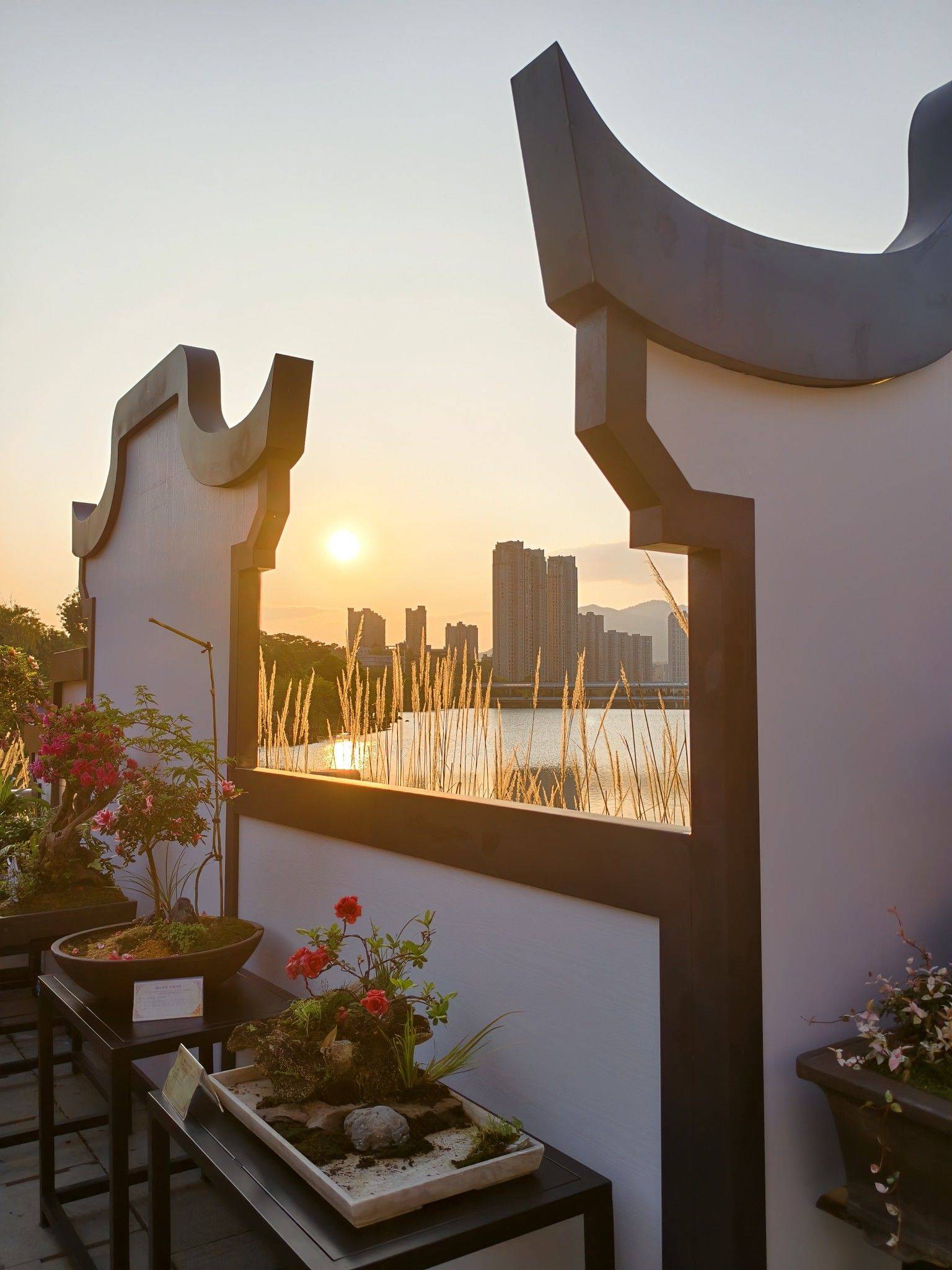 福州的春日浪漫～琴亭湖杜鹃花开了_1