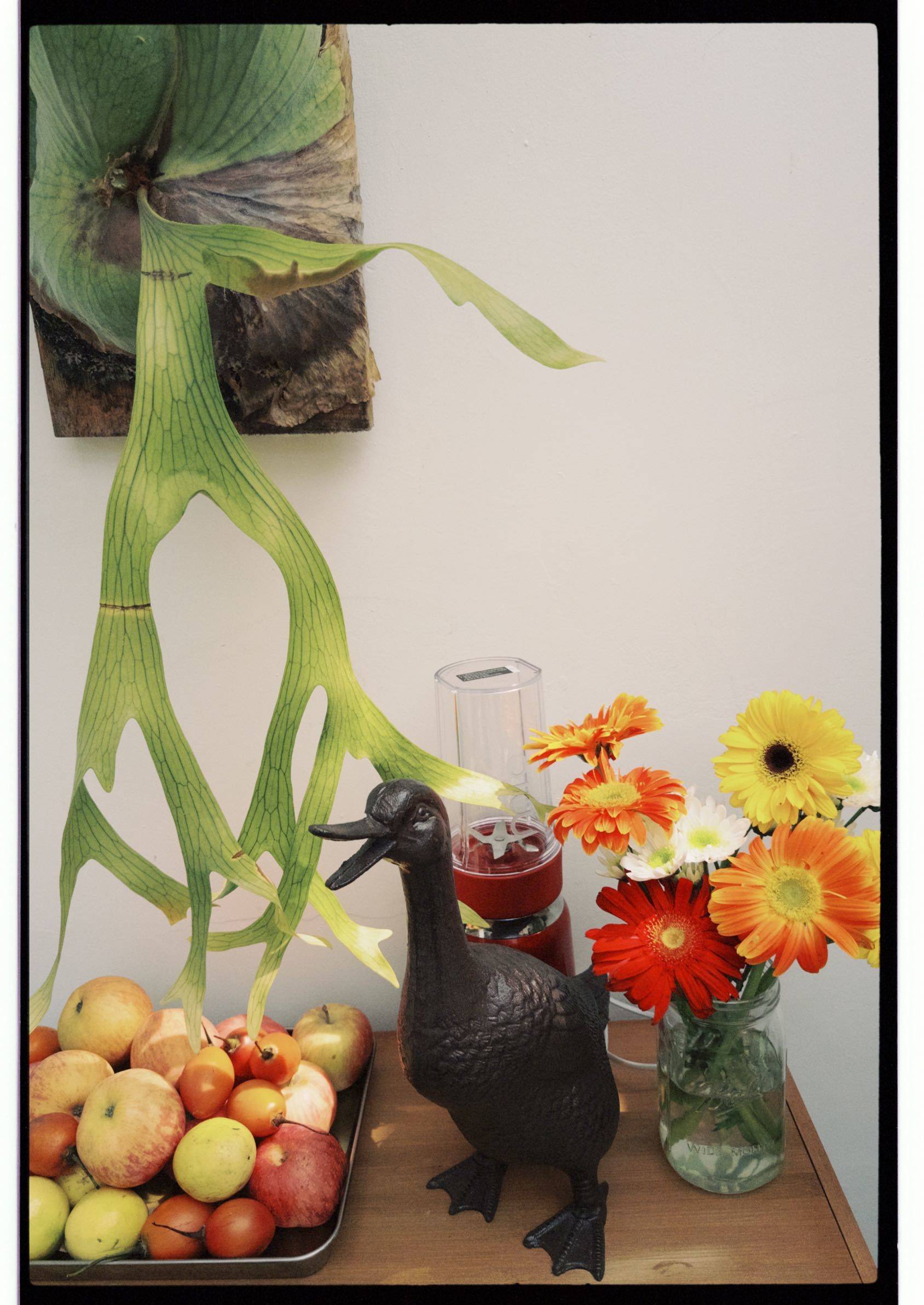 春天家里的第一场相聚💐