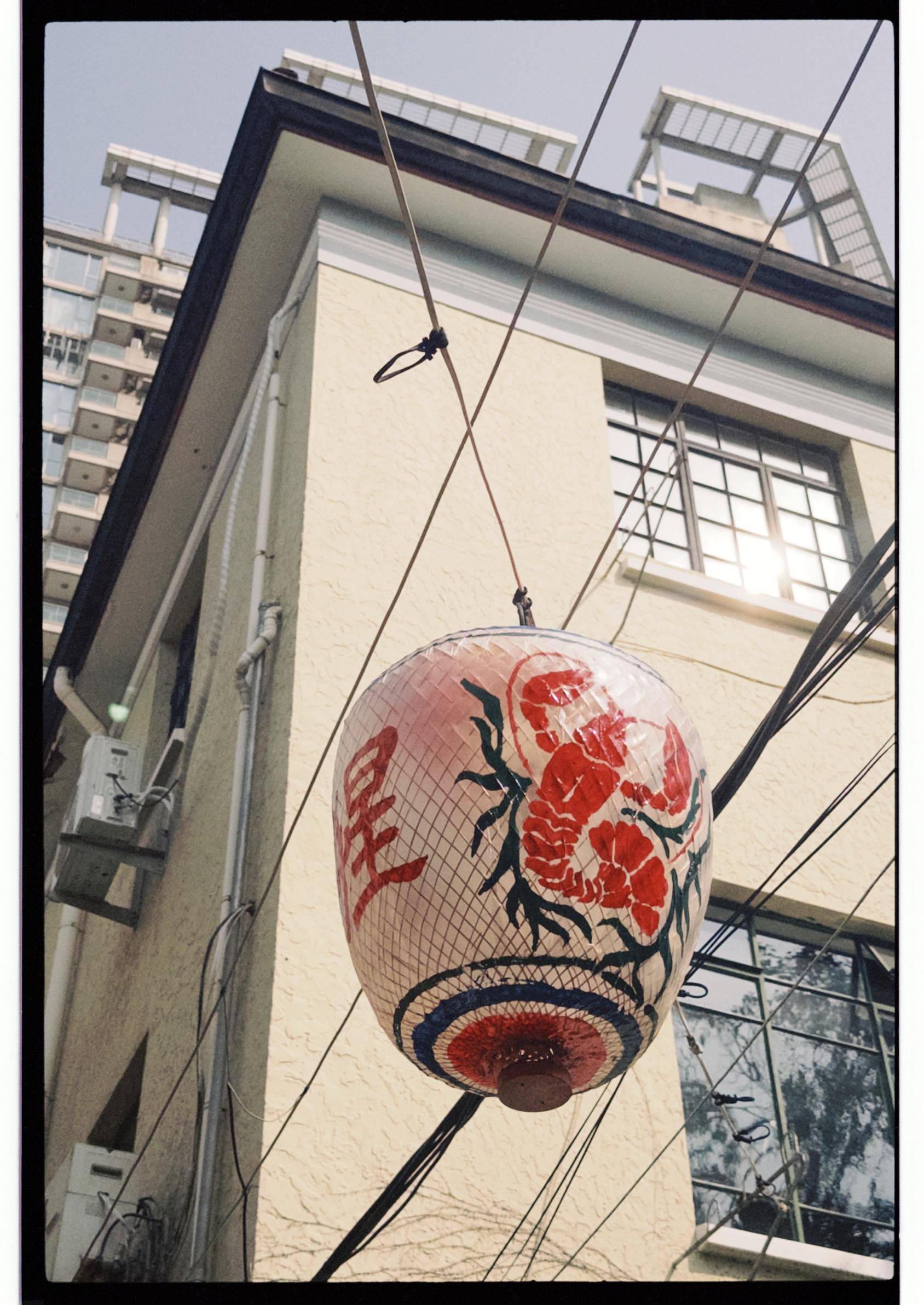 春天家里的第一场相聚💐_3