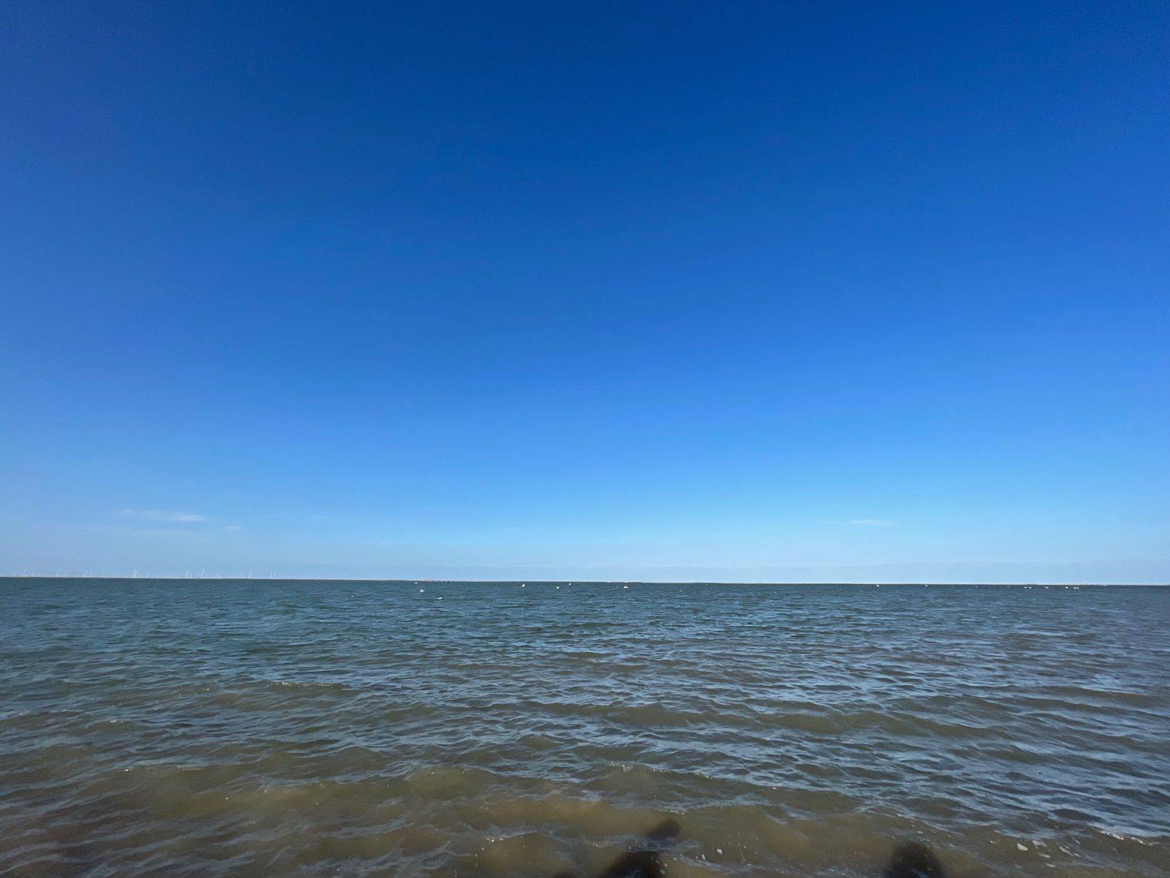 13号线金运路蹲室友女生合租