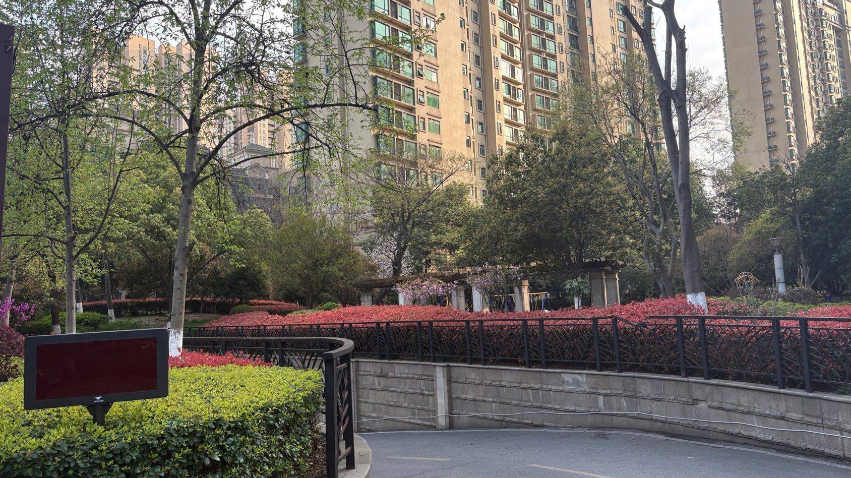 小区的花开啦_1