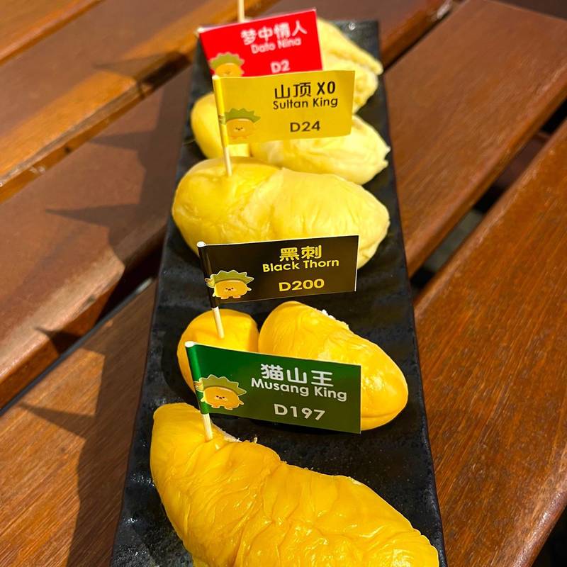 吉隆坡|拍到了小说里的A市🏙️_1