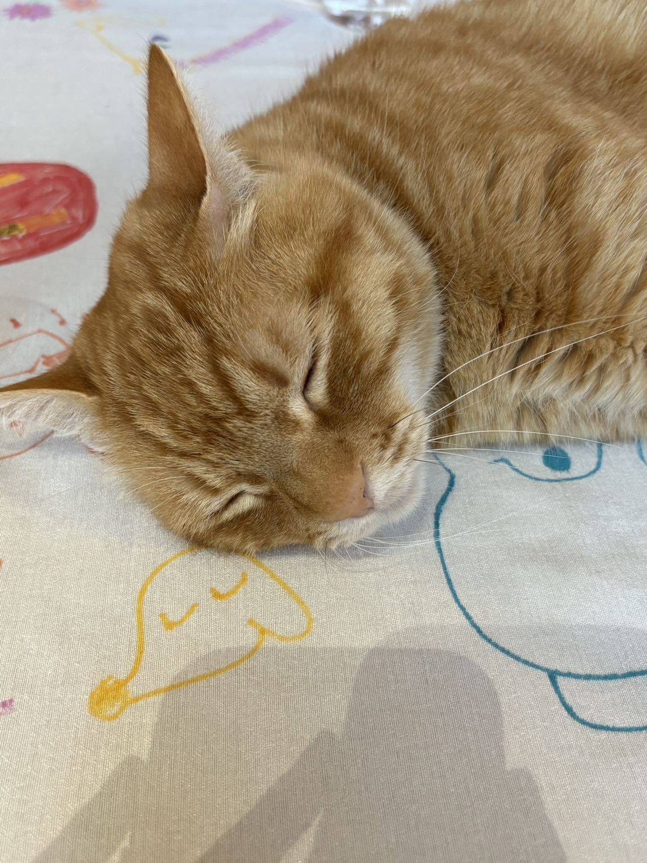 有在很认真学习如何创造美味😋_1