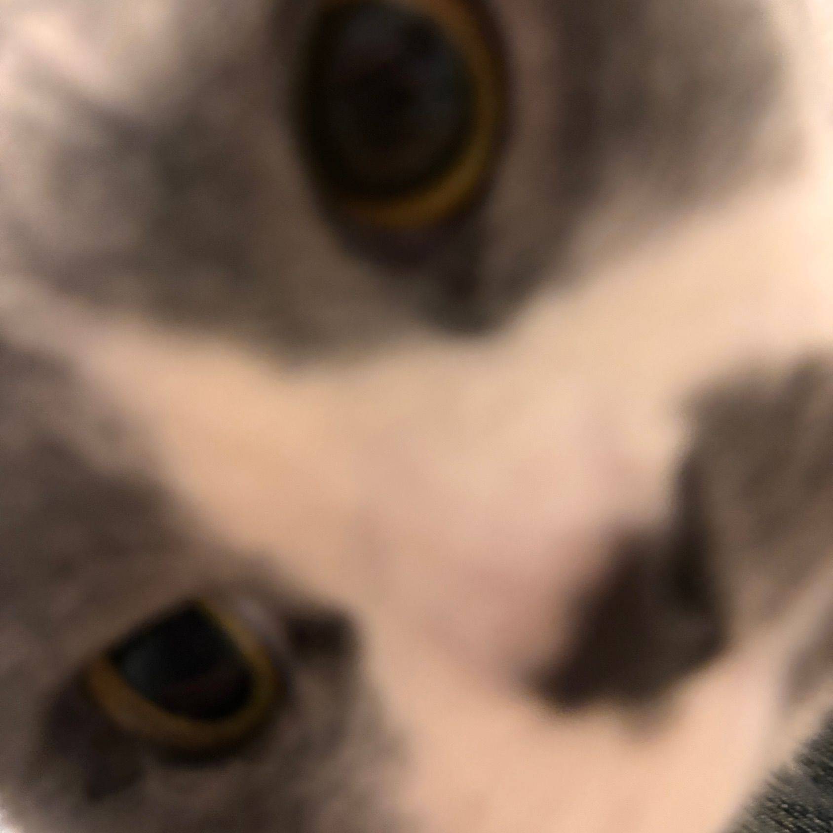 让我看看谁爽我约了