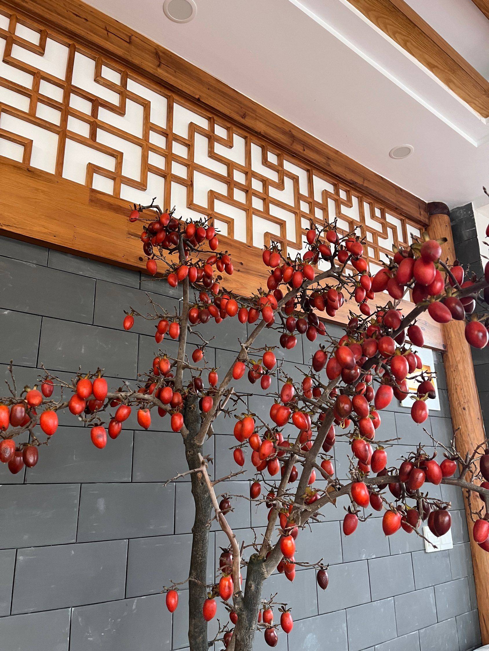 红果累累  秋日小景  庭院好风光