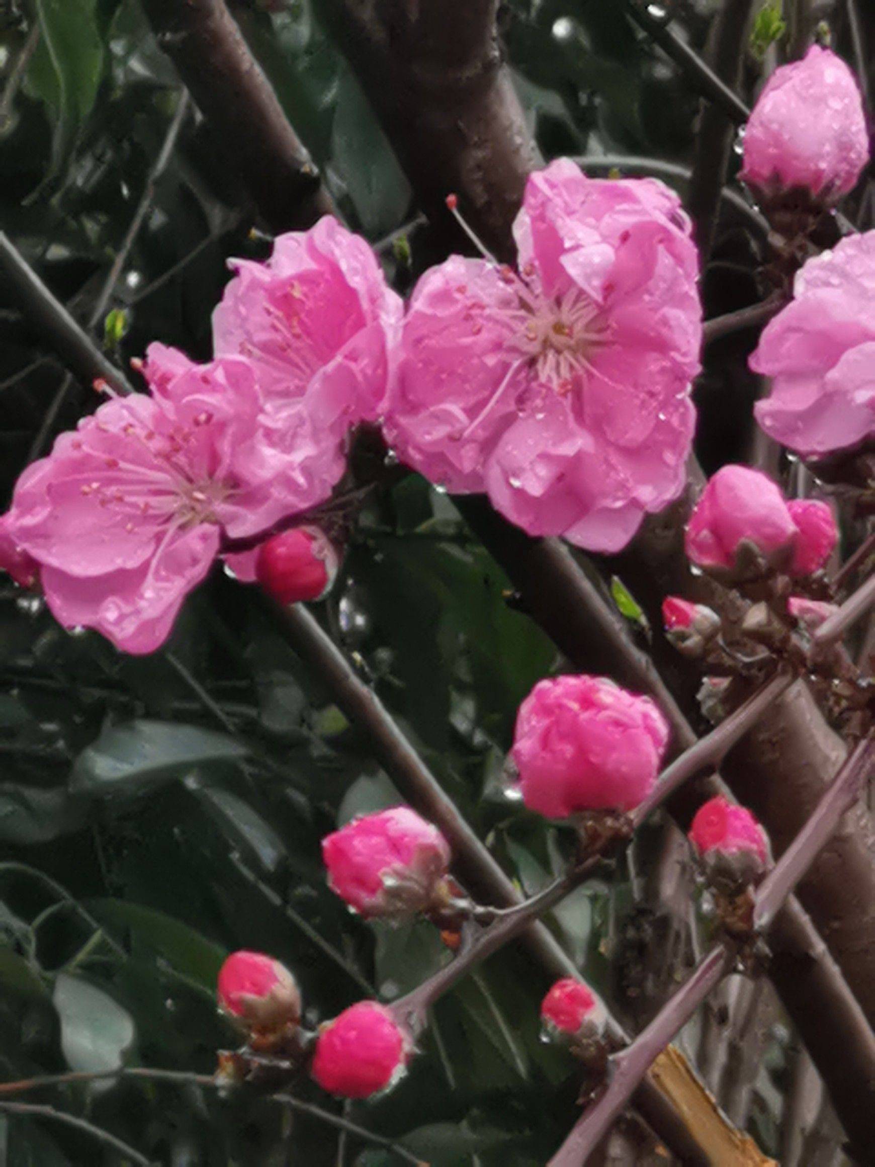 江西南昌蹲室友，年轻女室友 雨中绽放 