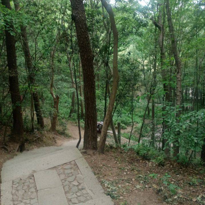 About guide foreigners Chinese