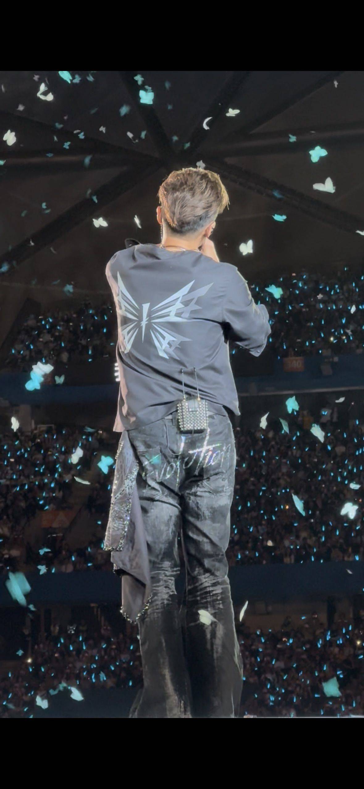 谢霆锋深圳演唱会