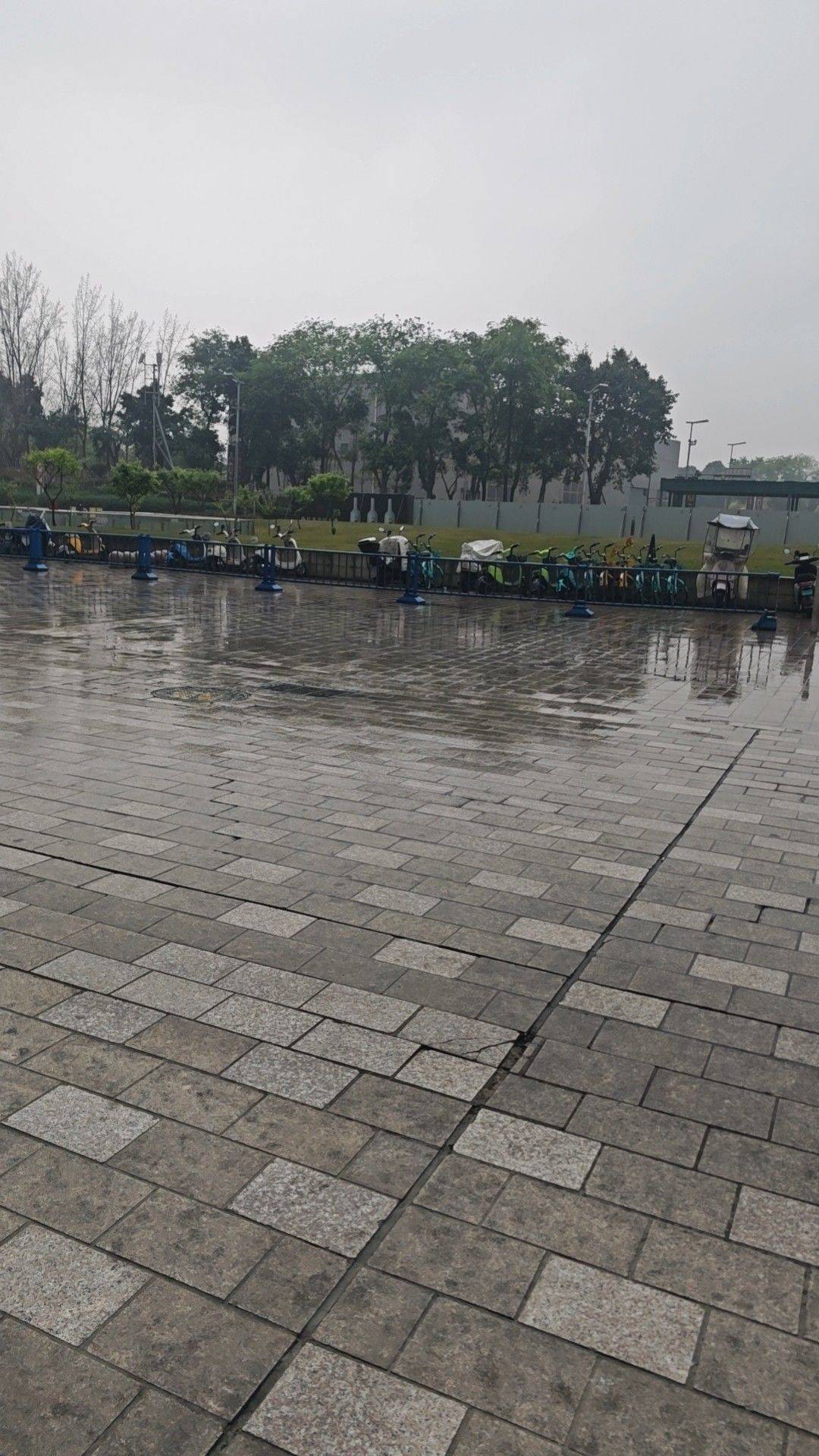  城市风光  记录我的城市  湿漉