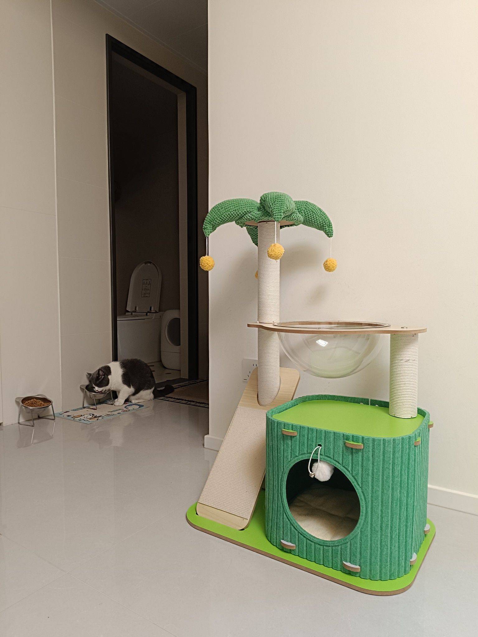 每一只猫咪都该被宠爱_2