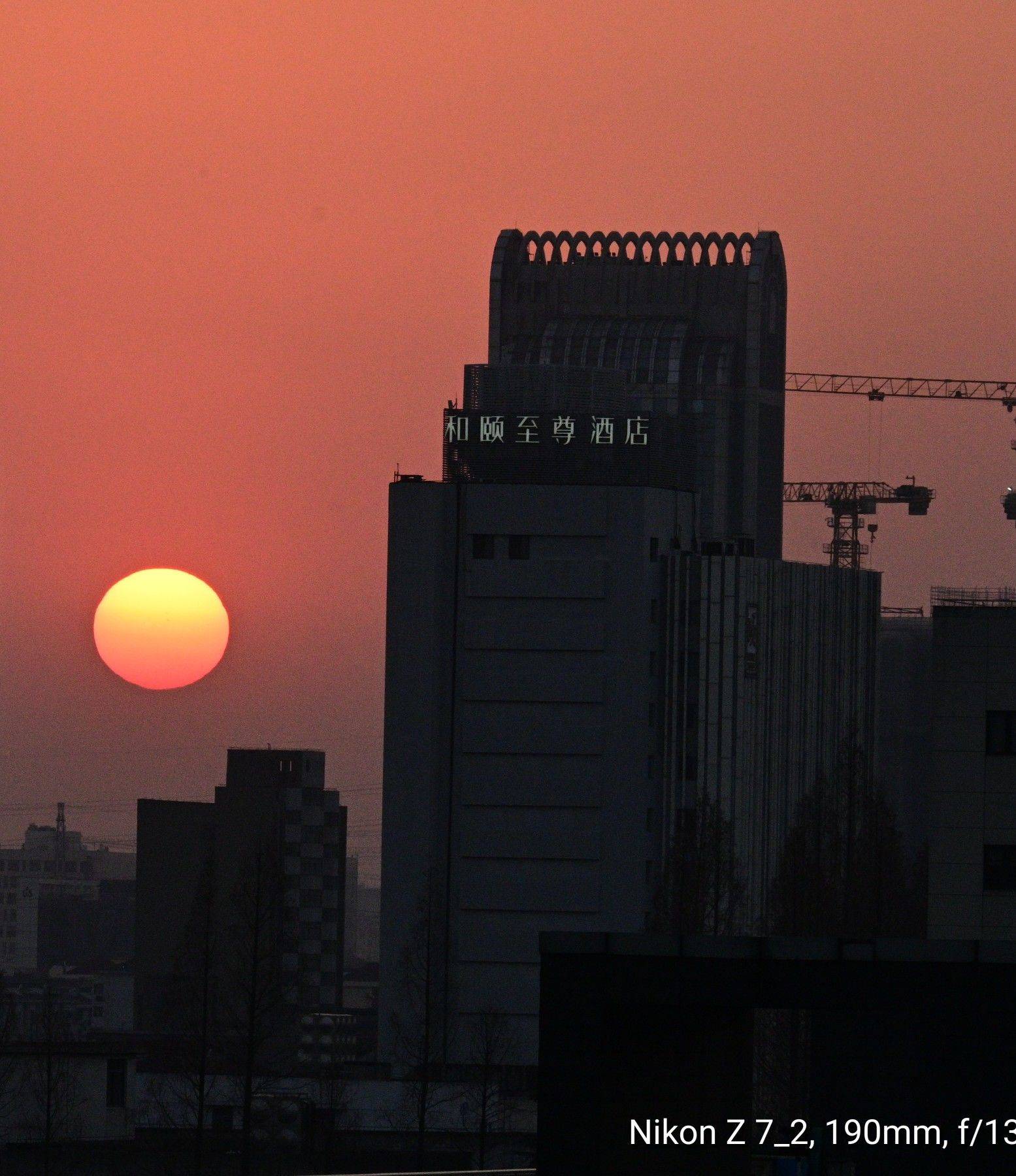  我家萌宠最可爱  宅家日常  躺_4