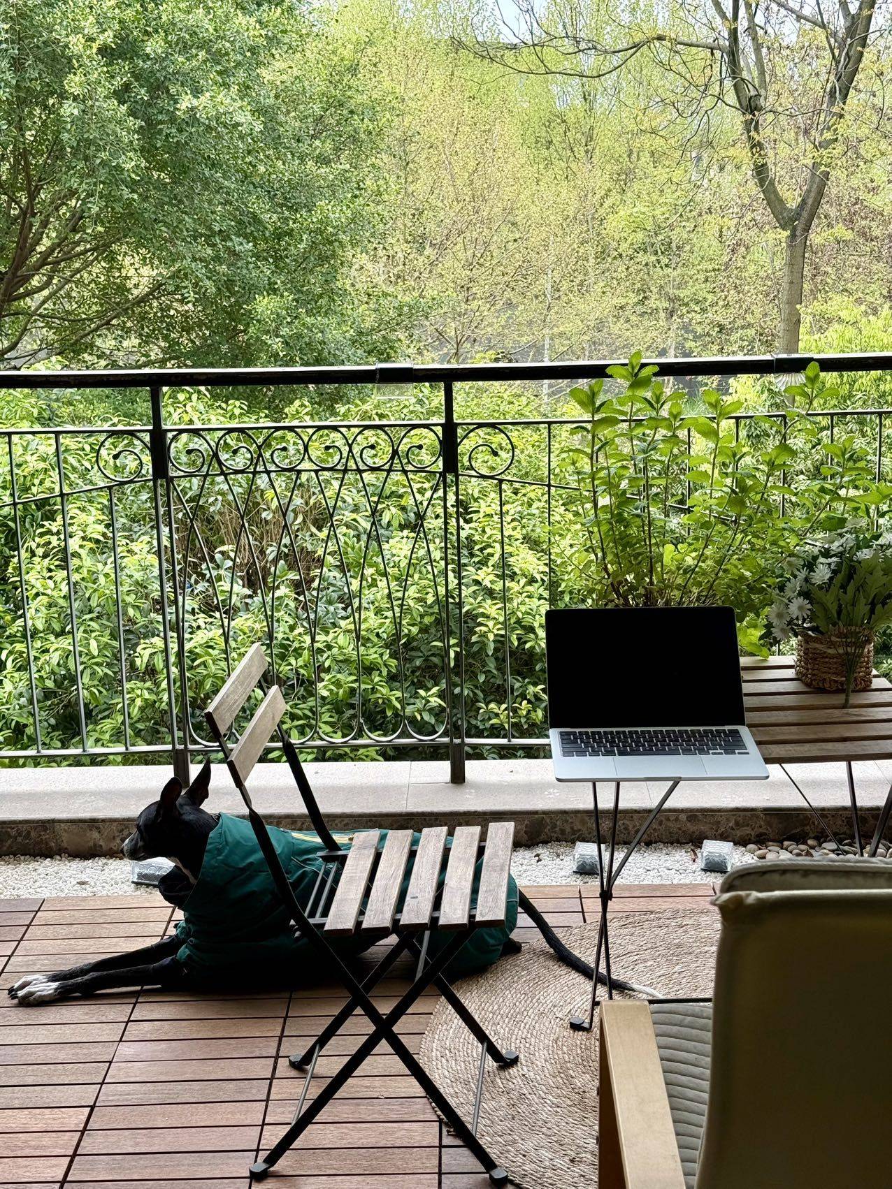 重庆•JOJO的家| 来我家玩吧（免费）