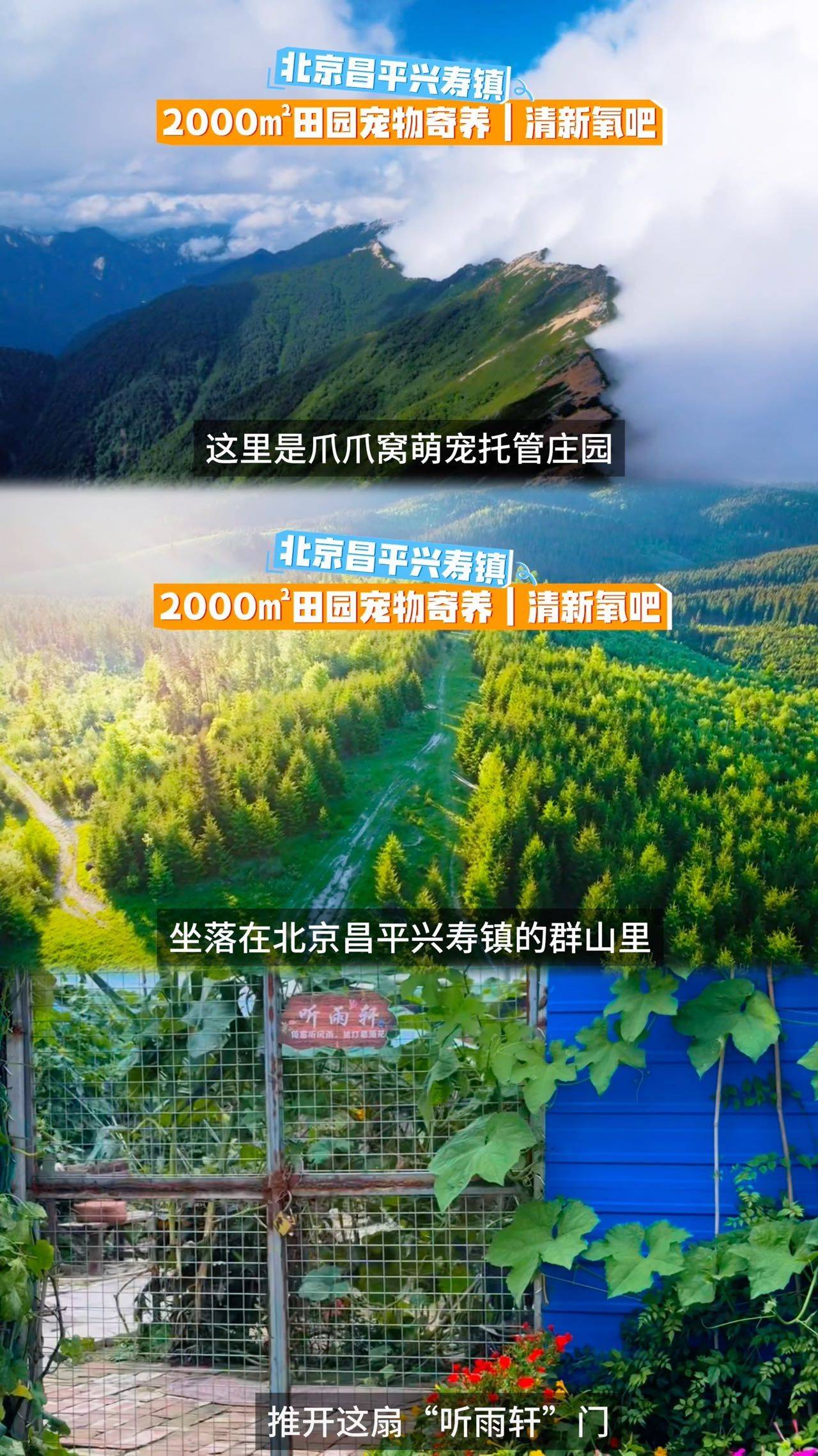 北京昌平宠物寄养狗狗寄养不笼养_1