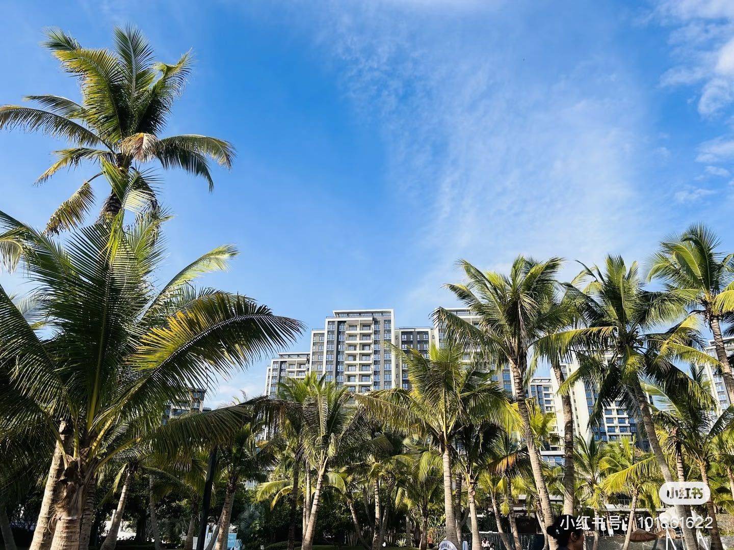 没有销声匿迹，我在热爱生活_4