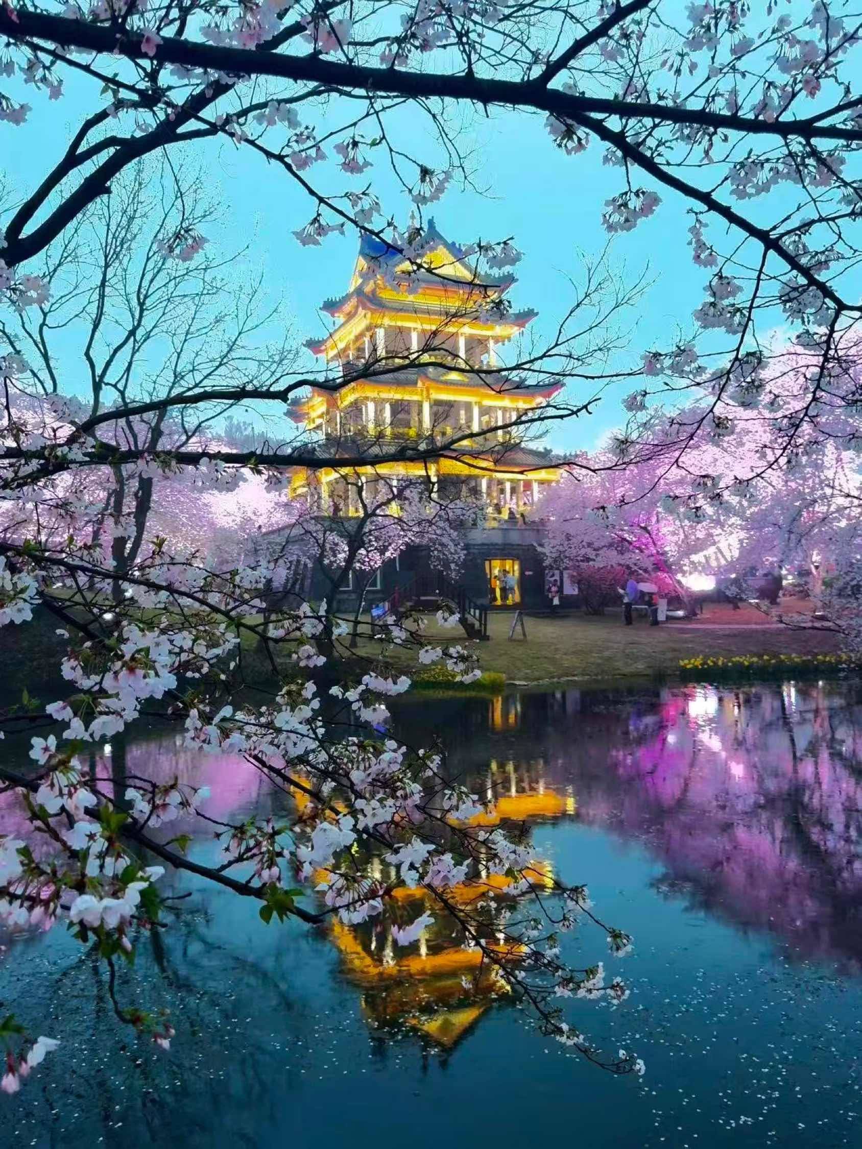 “花边楼阁月边廊，更爱繁灯照夜光…” _1