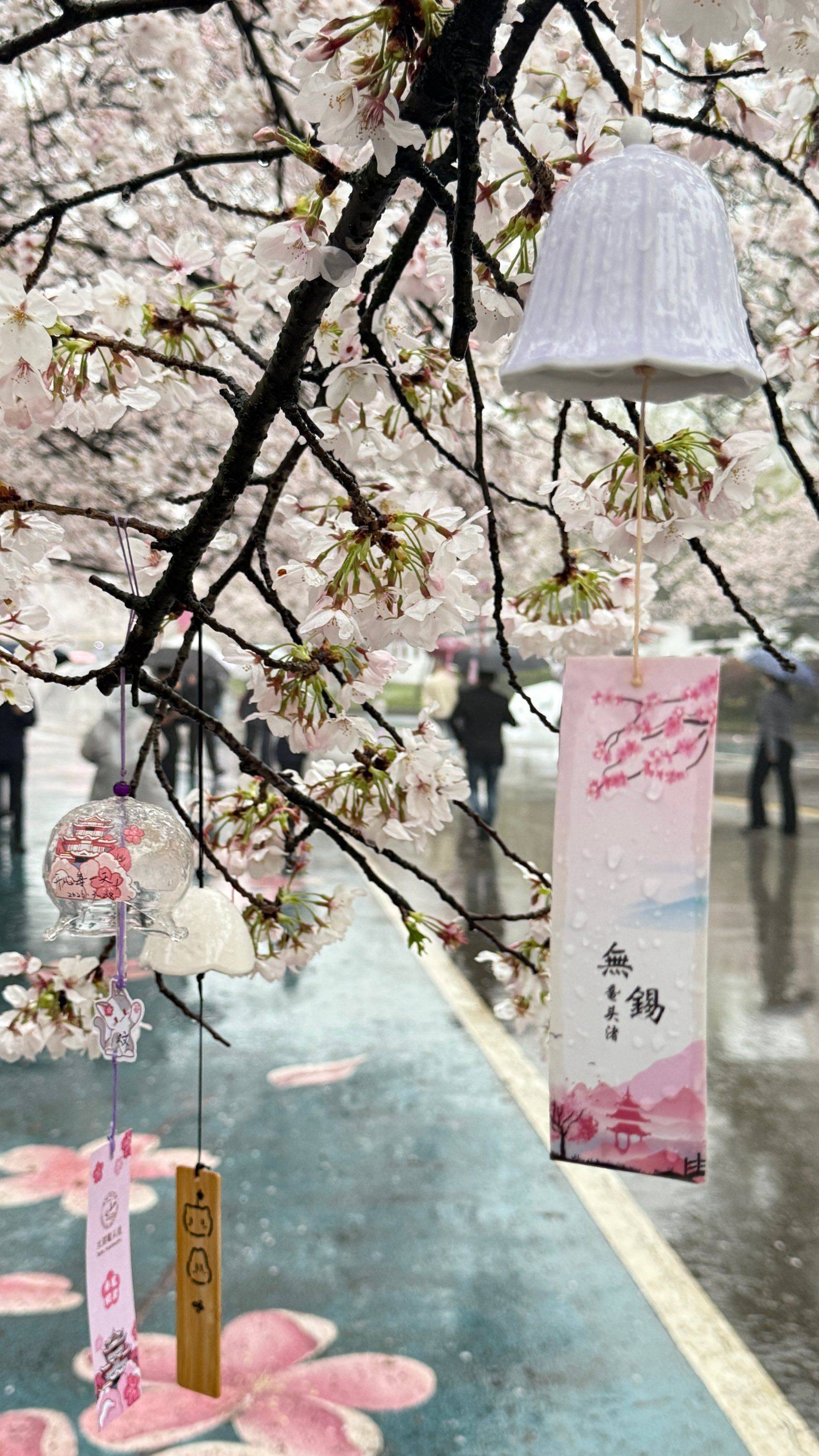 “花边楼阁月边廊，更爱繁灯照夜光…” 