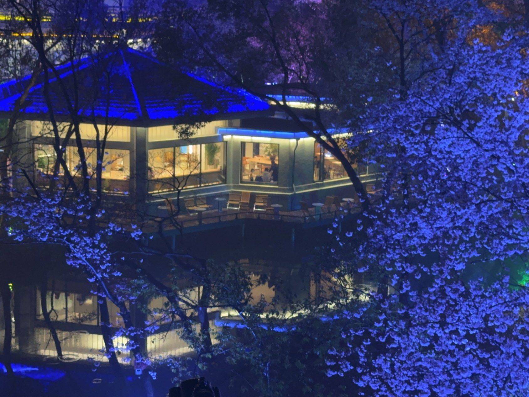 “花边楼阁月边廊，更爱繁灯照夜光…” _3