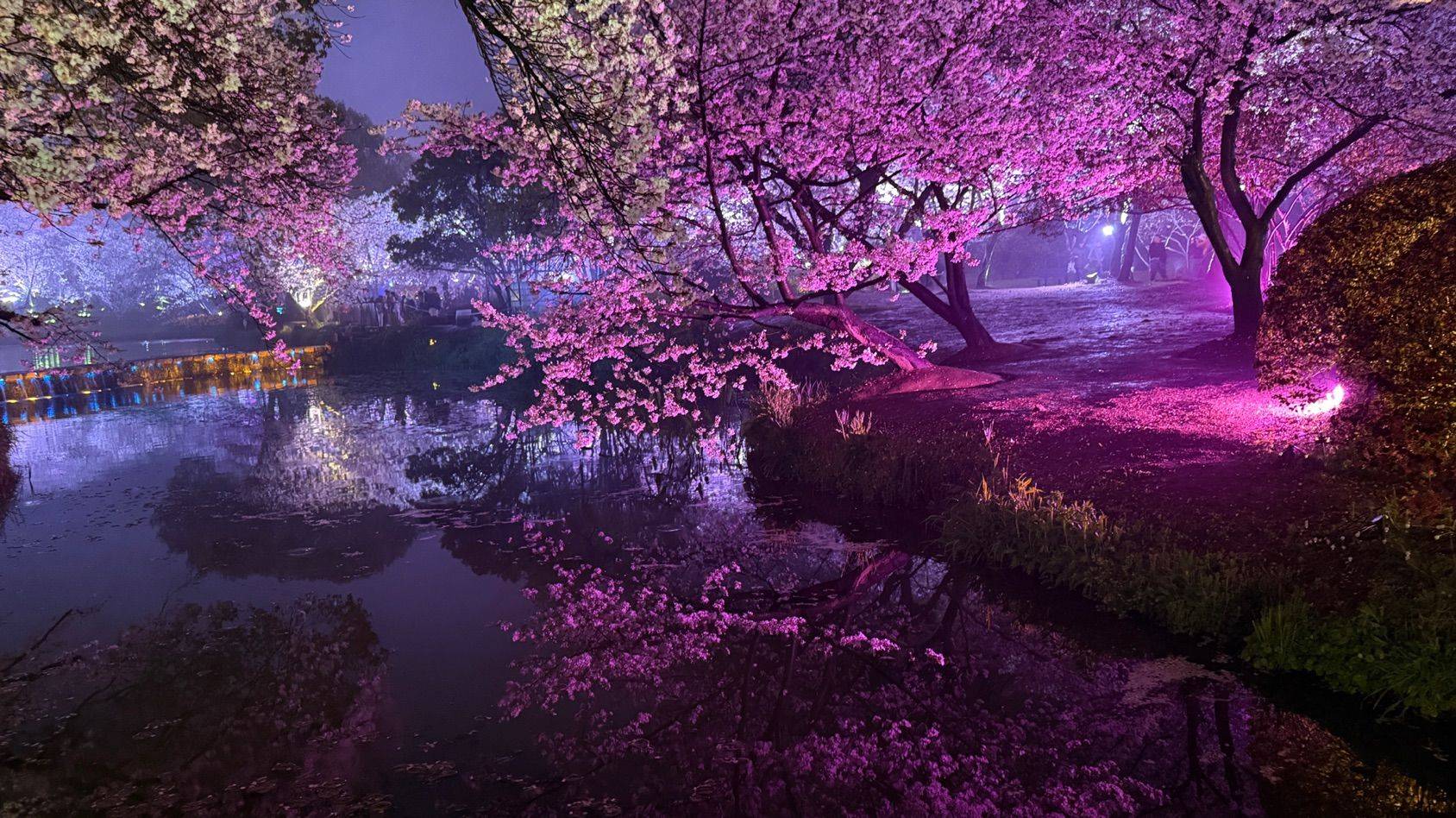 “花边楼阁月边廊，更爱繁灯照夜光…” _4